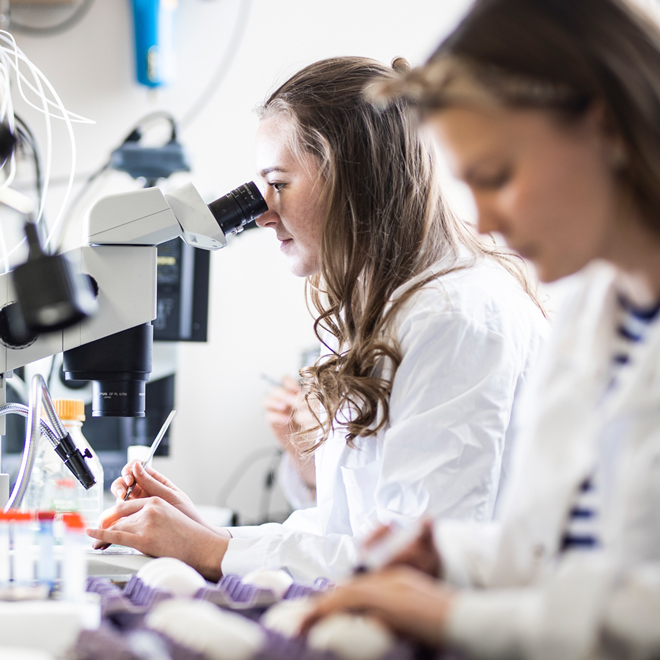 students in a biology lab